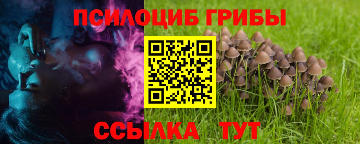 Псилоцибиновые грибы Cubensis  Псилоцибиновые грибы Magic Shrooms  Вход с VPN  Киреевск 